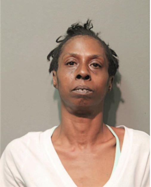 DEBORAH A HOWARD, Cook County, Illinois