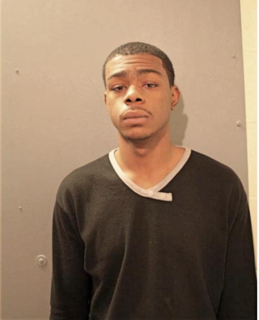 CHRISTOPHER F LEWIS, Cook County, Illinois