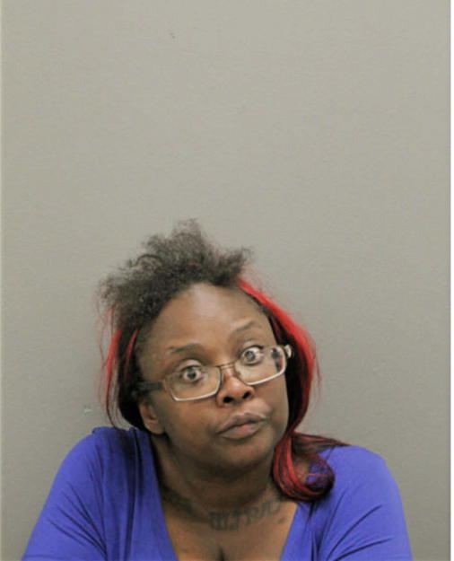 TAMEKA M MASON, Cook County, Illinois