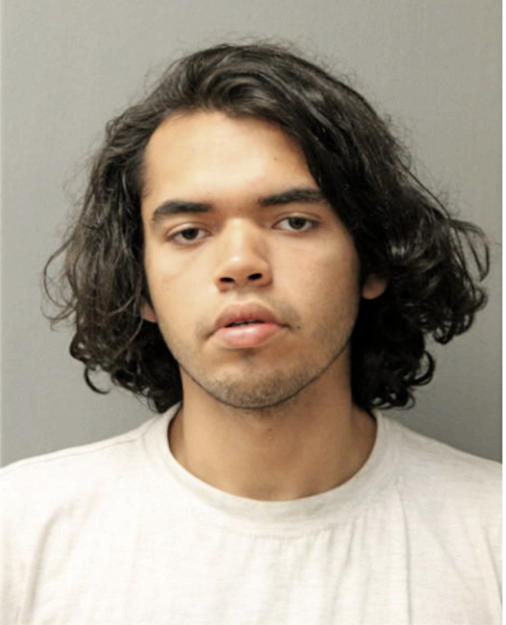 CHRISANTHONY MAYORGA, Cook County, Illinois