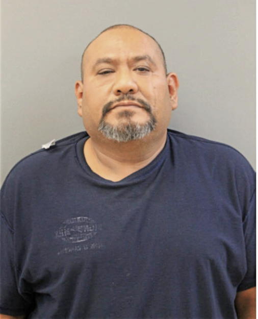 PEDRO NINO-VILLANUEVA, Cook County, Illinois