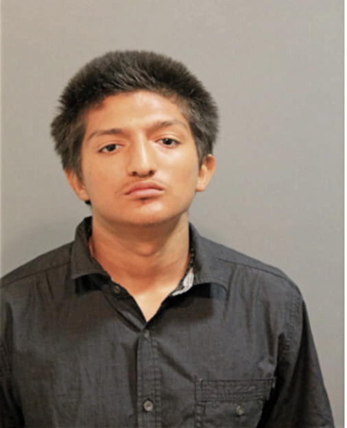 JOSE L RODRIGUEZ, Cook County, Illinois