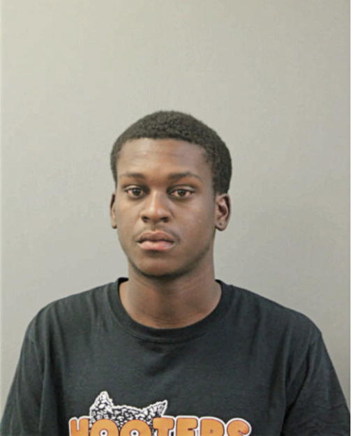 DEVON L RUSHIN, Cook County, Illinois