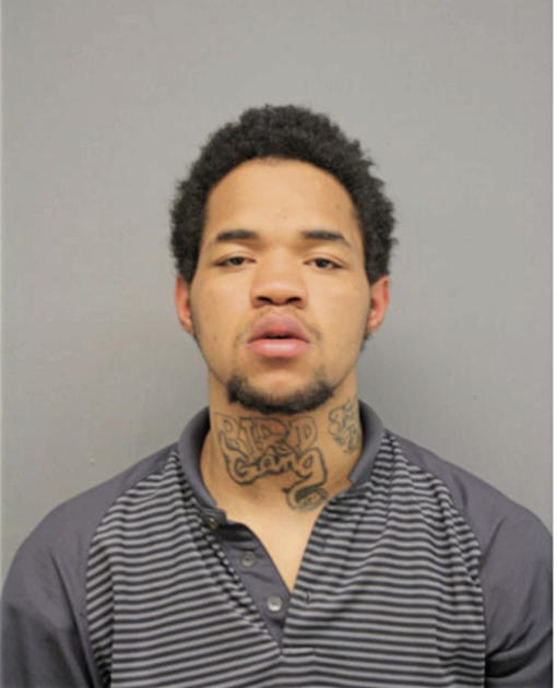 RANDY L WHITE, Cook County, Illinois
