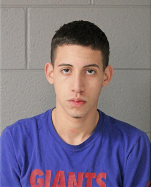 OMAR N ABU SERIEH, Cook County, Illinois