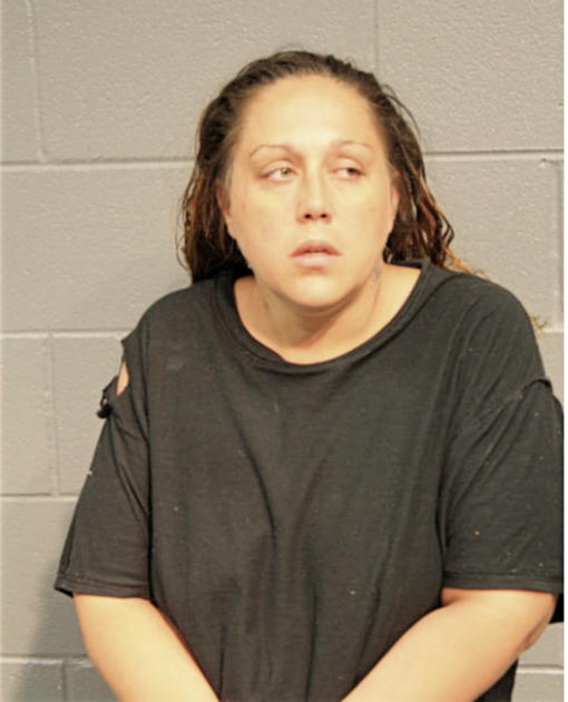TRACY L ANDERSON, Cook County, Illinois