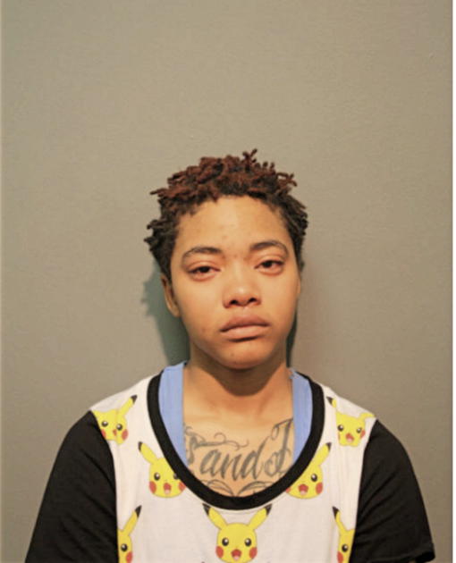 DANIELLE A BAKER, Cook County, Illinois