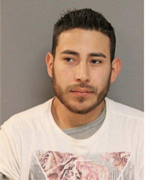 CRISTIAN E BARAJAS, Cook County, Illinois