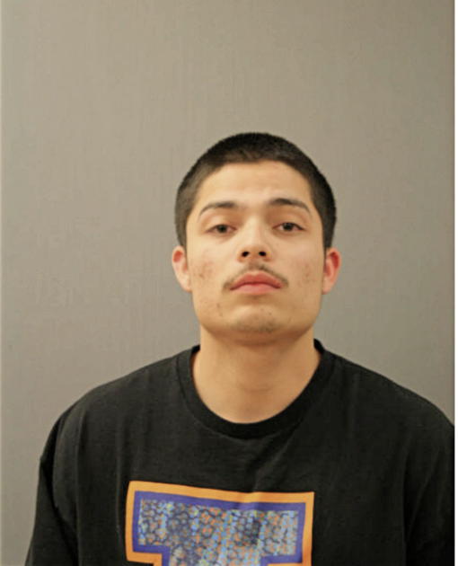 HANS ALFREDO BECKER, Cook County, Illinois