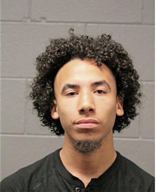 JUSTIN S CARMICKLE, Cook County, Illinois