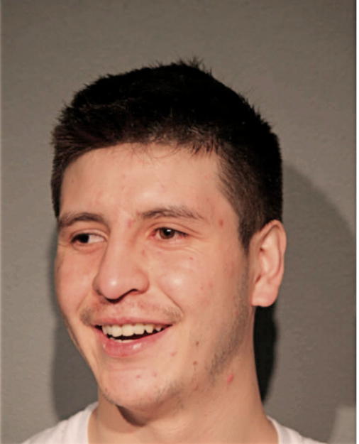 LUIS A DUMAN, Cook County, Illinois