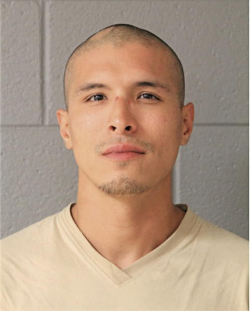 EMMANUEL ELIZONDO, Cook County, Illinois
