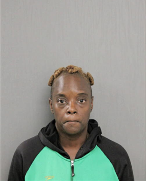 MARION L GOLDMAN, Cook County, Illinois