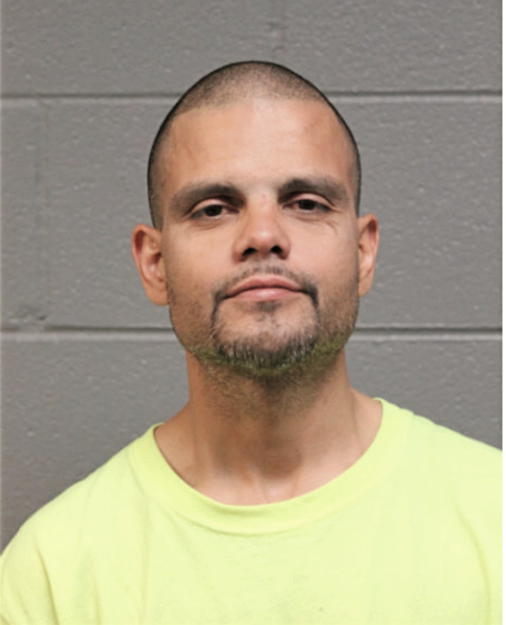 JAVIER L GONZALEZ, Cook County, Illinois