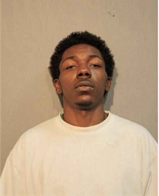 KENT B HOUSTON, Cook County, Illinois