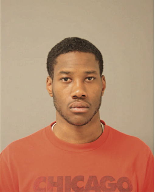 BRIAN K LEWIS, Cook County, Illinois