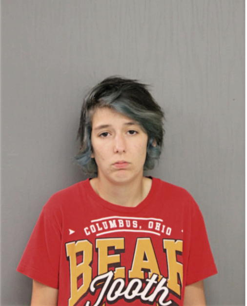 BRITTANY R MITCHELL, Cook County, Illinois