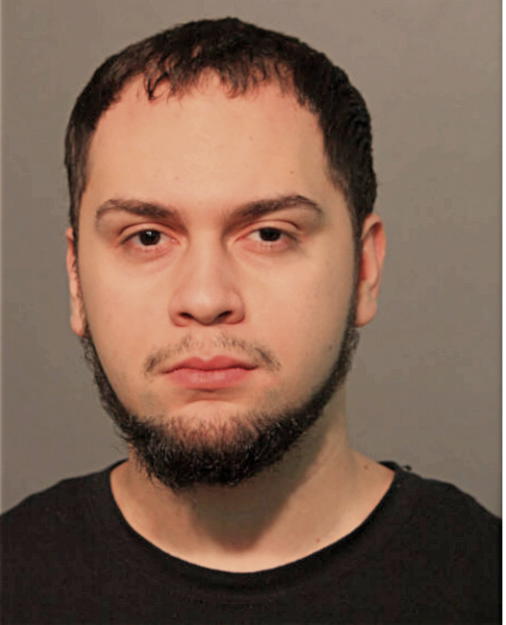 BISAEL MORALES, Cook County, Illinois
