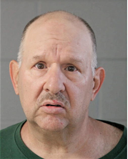 DAVID A NESTEL, Cook County, Illinois