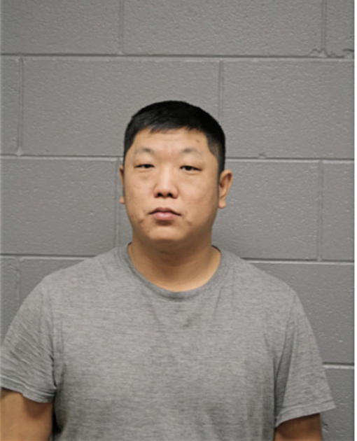 CLINT J NICKOLAUSON, Cook County, Illinois