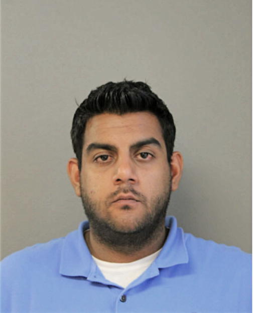 SAGAR P PATEL, Cook County, Illinois