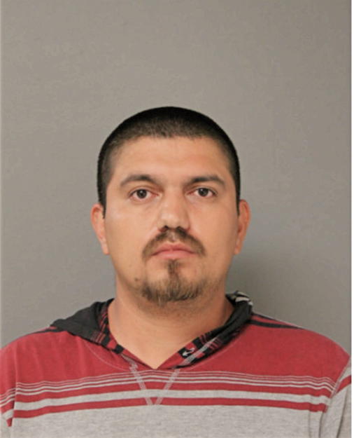 JOSE J PEREZ, Cook County, Illinois