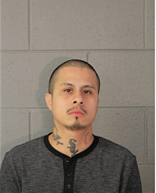 ROLAND REYES, Cook County, Illinois