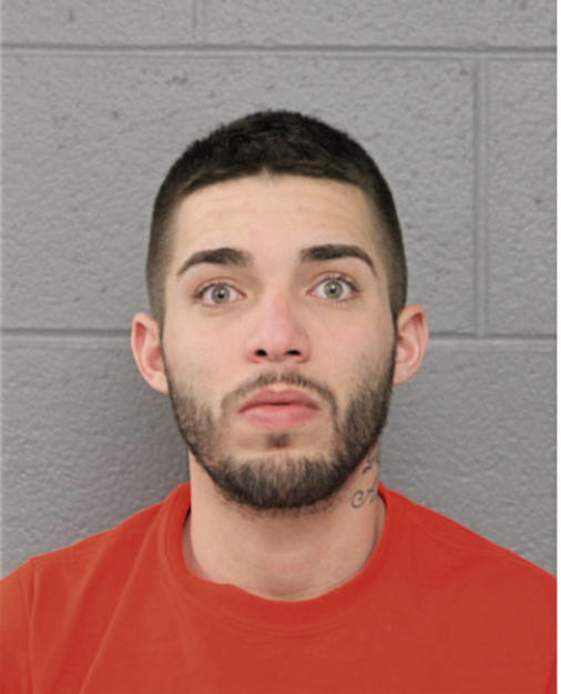 LUIS A RIVERA, Cook County, Illinois