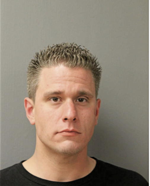 DAVID W SANCHEZ, Cook County, Illinois