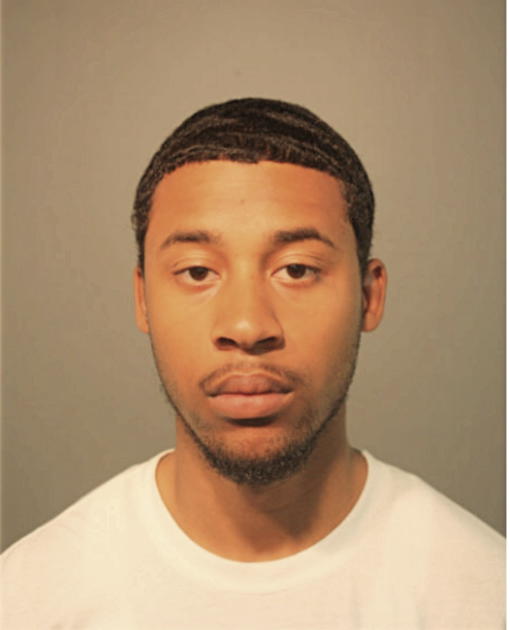 MICHAEL J TRUESDALE, Cook County, Illinois