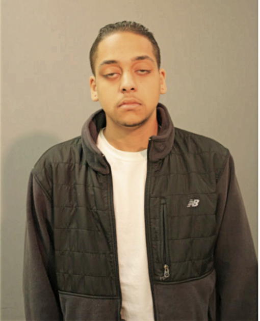 DAVID A YOUNG, Cook County, Illinois