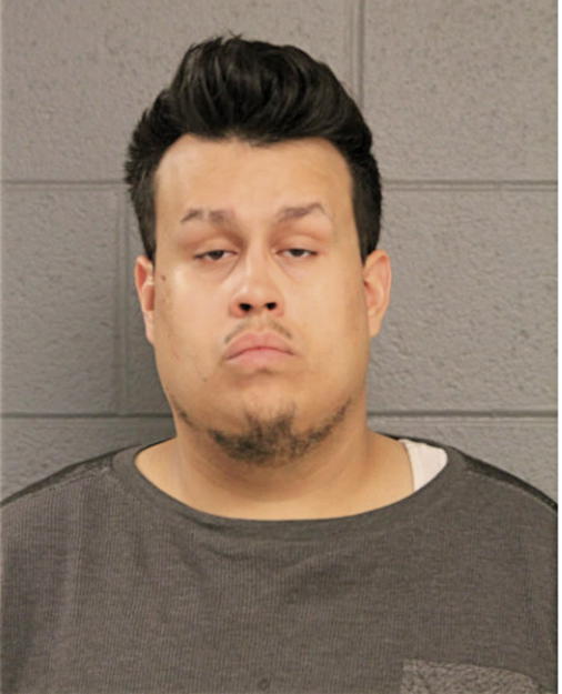 ADRIAN W APONTE, Cook County, Illinois