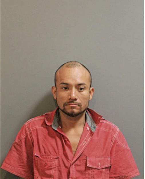 JOSUE BAEZ-LOZADA, Cook County, Illinois