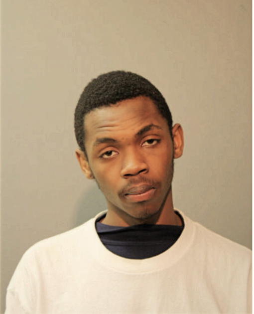 SHANE L BRYANT, Cook County, Illinois