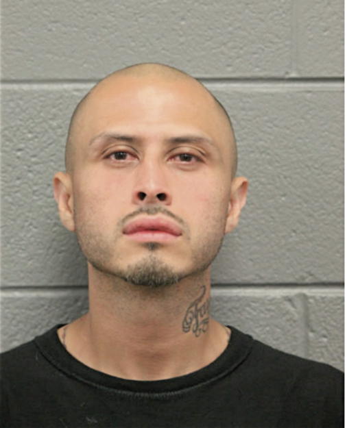 JOSE A CORRAL, Cook County, Illinois