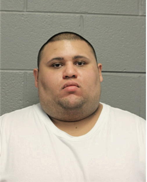 CORKY ELY, Cook County, Illinois