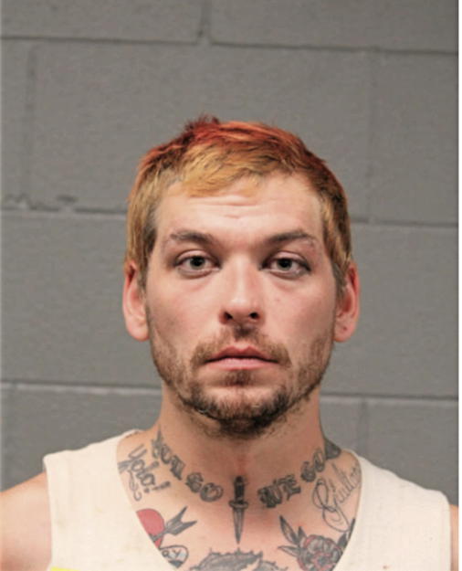 JAMES P FAUSER, Cook County, Illinois