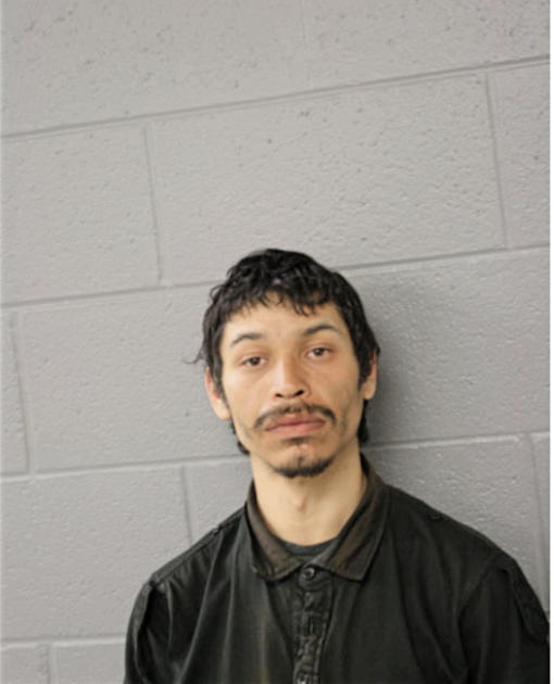 MARCO GAONA, Cook County, Illinois