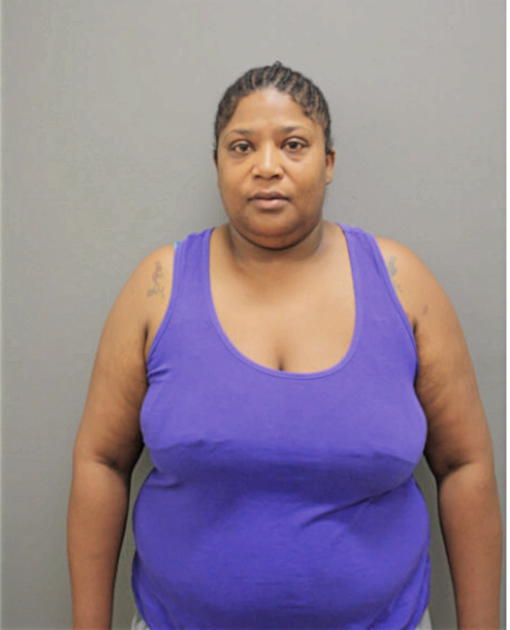 SARAHLYN M HICKS, Cook County, Illinois