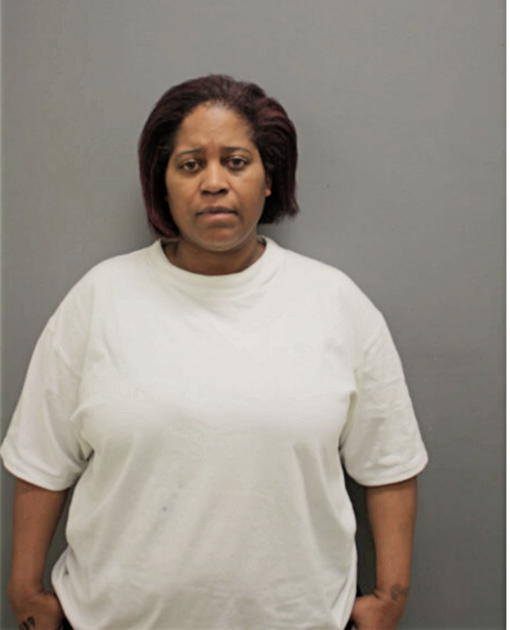 KAREN T KNOX, Cook County, Illinois