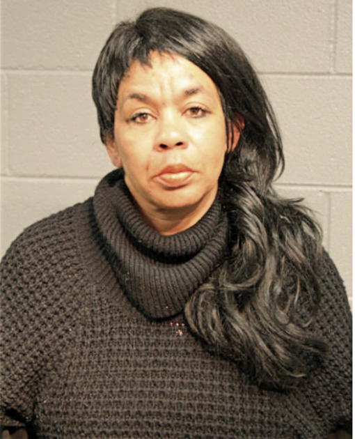 NICOLE S OKANLAWON, Cook County, Illinois