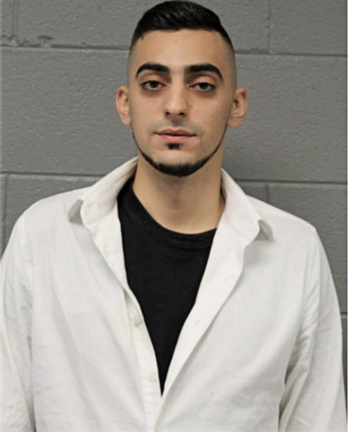 OMAR N OTHMAN, Cook County, Illinois