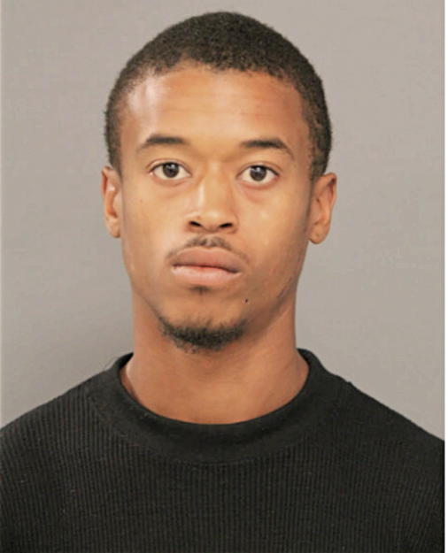 JAMES P ROBERTS, Cook County, Illinois