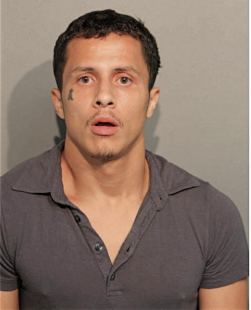 DAVID R RAMOS, Cook County, Illinois