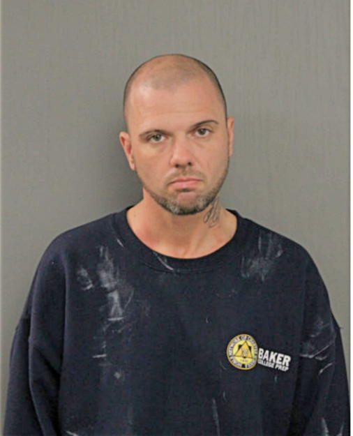 ANTHONY R SCHMIDT, Cook County, Illinois