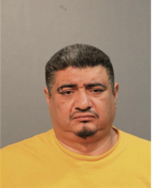 ARMANDO VENEGAS, Cook County, Illinois