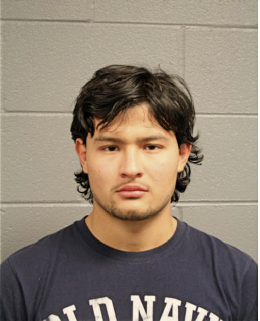 ESTEBAN D ALCAUTER, Cook County, Illinois