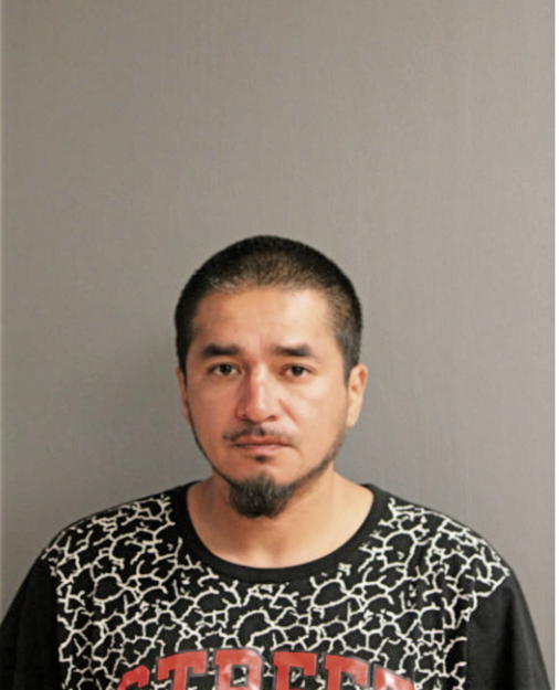 EDWIN ANDRADE, Cook County, Illinois