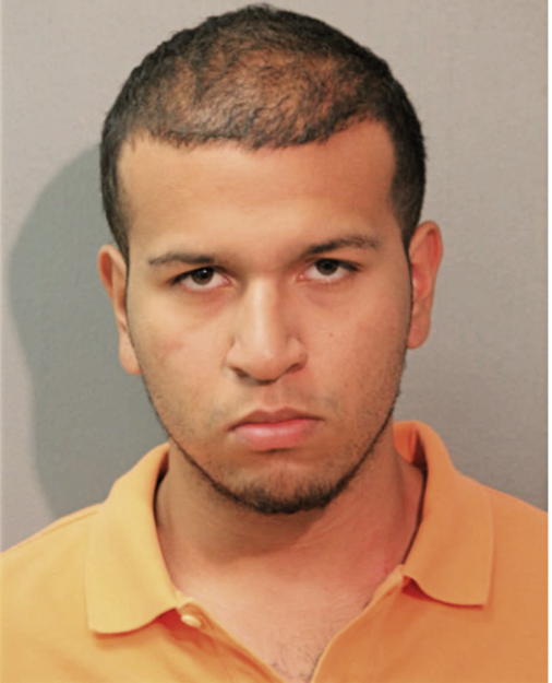 LEONARDO F BAEZ, Cook County, Illinois