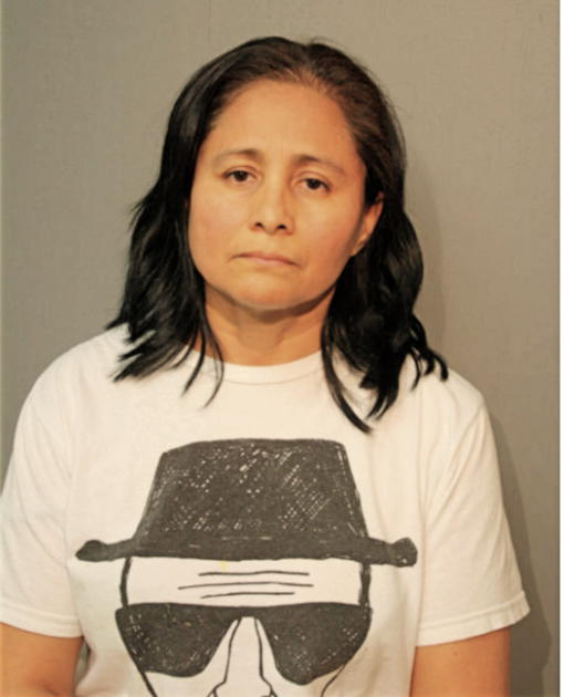 ELIDA DIAZ, Cook County, Illinois